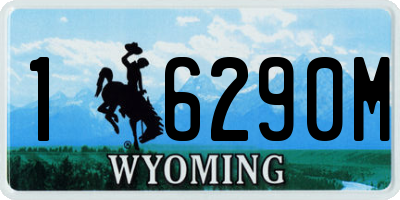 WY license plate 16290M
