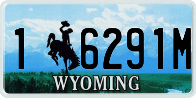 WY license plate 16291M