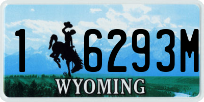 WY license plate 16293M