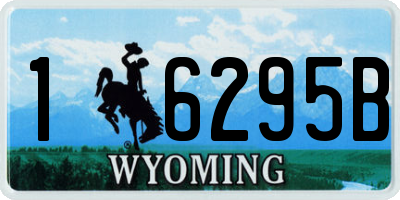 WY license plate 16295B