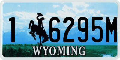 WY license plate 16295M