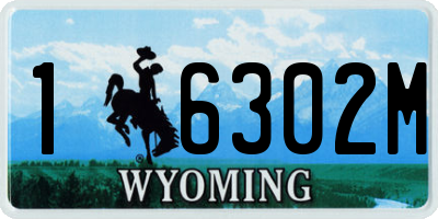 WY license plate 16302M