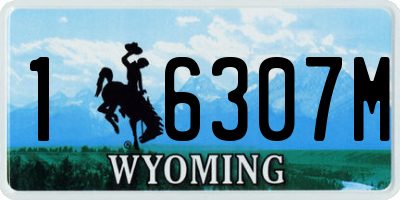WY license plate 16307M