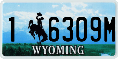 WY license plate 16309M