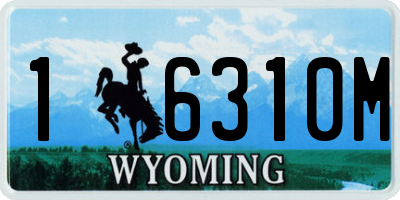 WY license plate 16310M
