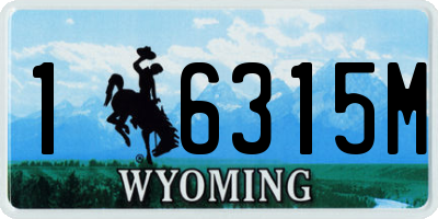 WY license plate 16315M