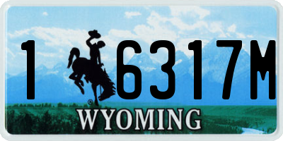WY license plate 16317M