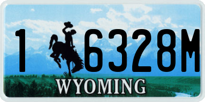WY license plate 16328M