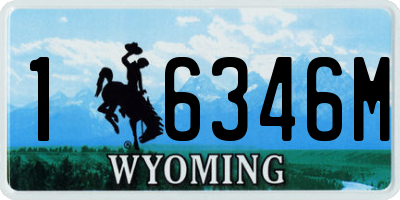 WY license plate 16346M