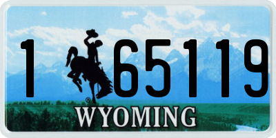 WY license plate 165119