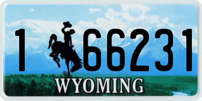 WY license plate 166231