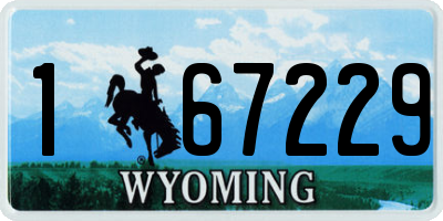 WY license plate 167229