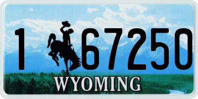 WY license plate 167250