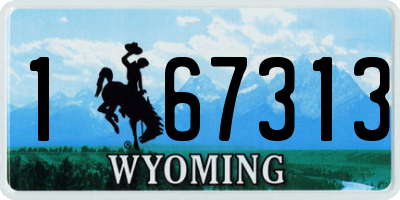 WY license plate 167313