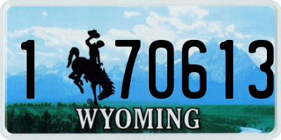 WY license plate 170613