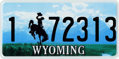 WY license plate 172313