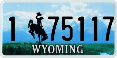 WY license plate 175117