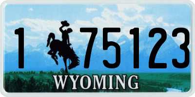 WY license plate 175123