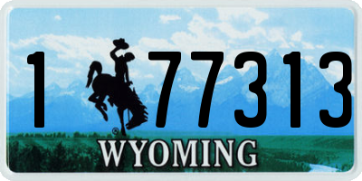WY license plate 177313