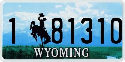 WY license plate 181310