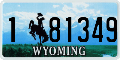 WY license plate 181349