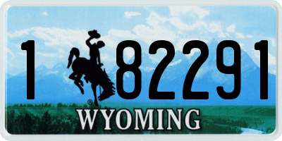 WY license plate 182291