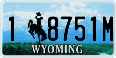 WY license plate 18751M