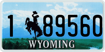 WY license plate 189560
