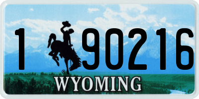 WY license plate 190216