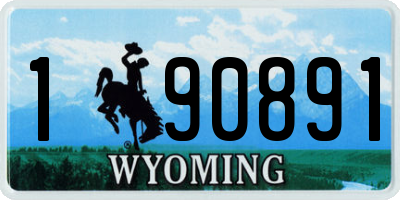 WY license plate 190891