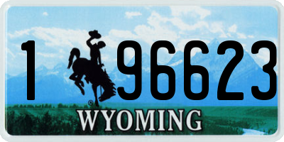 WY license plate 196623