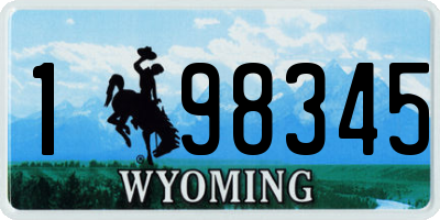 WY license plate 198345