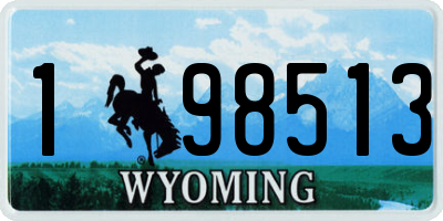 WY license plate 198513