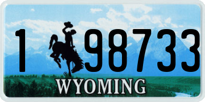 WY license plate 198733