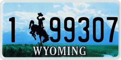 WY license plate 199307