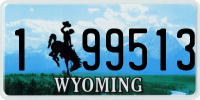 WY license plate 199513