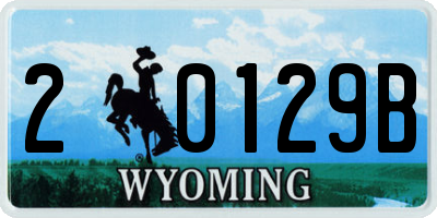 WY license plate 20129B