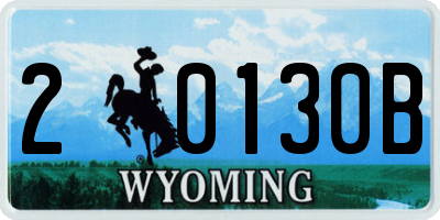 WY license plate 20130B