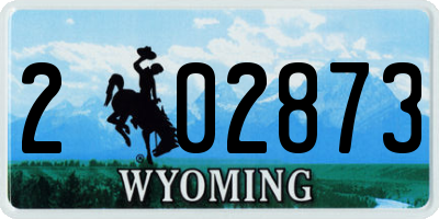 WY license plate 202873