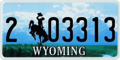 WY license plate 203313