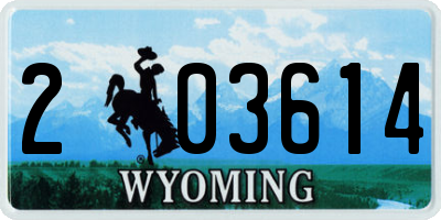 WY license plate 203614