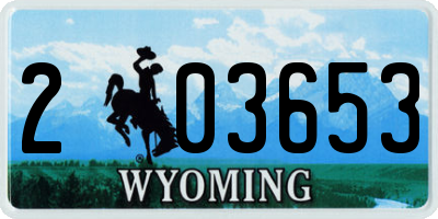 WY license plate 203653
