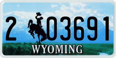 WY license plate 203691
