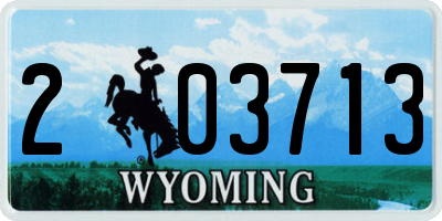 WY license plate 203713