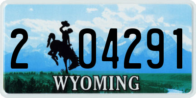 WY license plate 204291