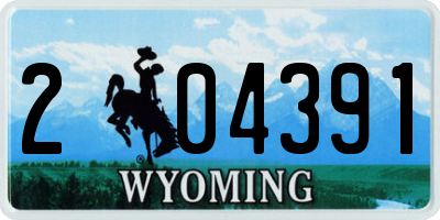 WY license plate 204391
