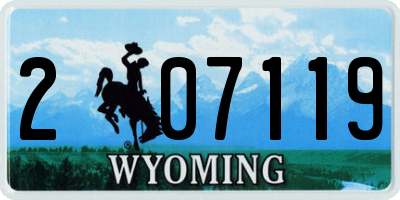 WY license plate 207119