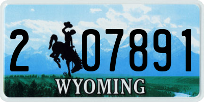 WY license plate 207891