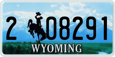 WY license plate 208291