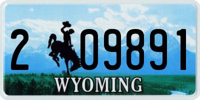 WY license plate 209891
